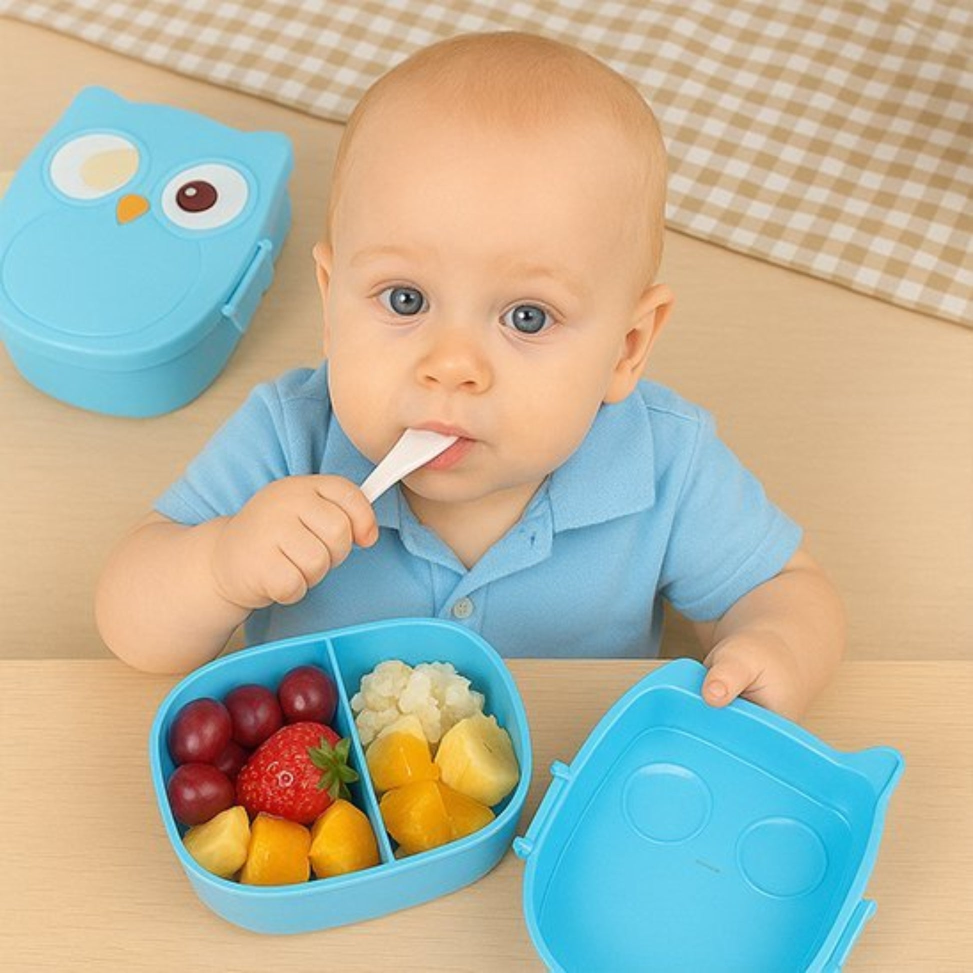 Lunch box enfant compartiment hibou bleu | Hibox - Plan dinette